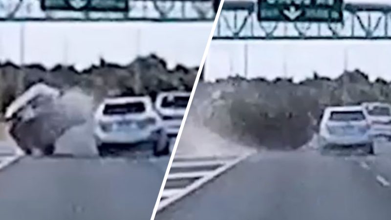 WATCH: Contender for Auckland's worst driver causes massive rollover on motorway