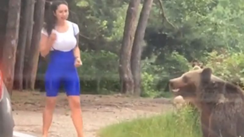 Girl almost gets attacked by wild bear trying to take a photo next to it