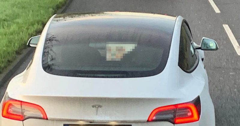 Bloke driving Tesla stuck in traffic busted watching porn on console screen