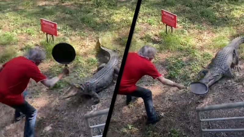 WATCH: Aussie bloke fights off crocodile with a frying pan