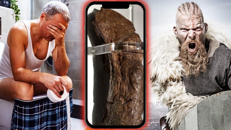The largest shit recorded in history belonged to a sick Viking from over 1,000 years ago