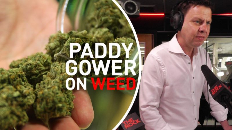 Paddy Gower talks WEED