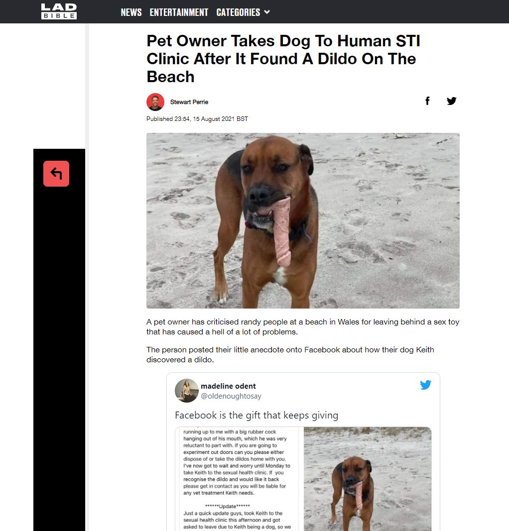 We talk to the kiwi bloke who's dog found a dildo at the beach and is being impersonated online