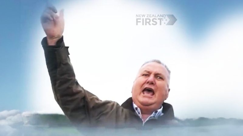 WATCH: Giant wētā takes a massive crap on live TV in epic Kiwi news blooper