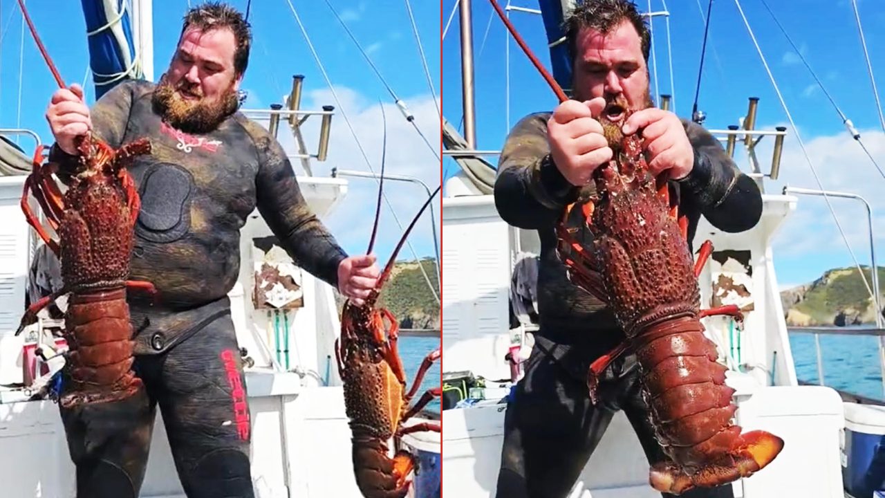 WATCH: Kiwi blokes go viral for epic four-day fishing bender with insane feeds and huge catches