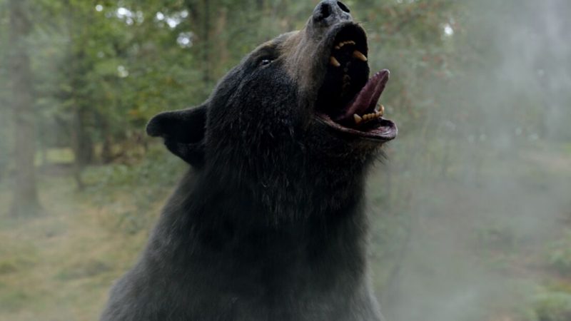 Here’s the true, unbelievable story behind ‘Cocaine Bear’ that the movie didn’t tell you