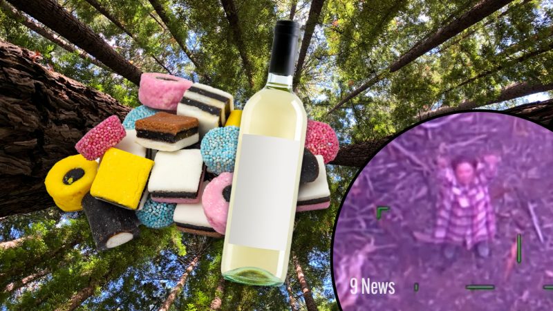 Aussie woman survives 5 days lost in the bush off only lollies and wine