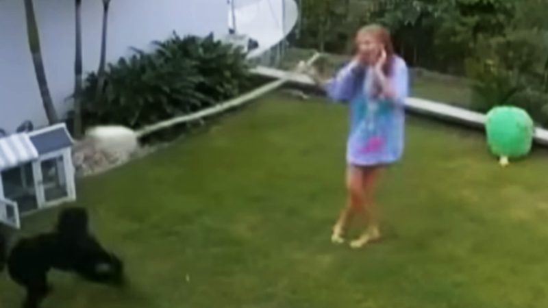 WATCH: Aussie girl performs WWE-style swinging side slam on a snake after it attacks her pet