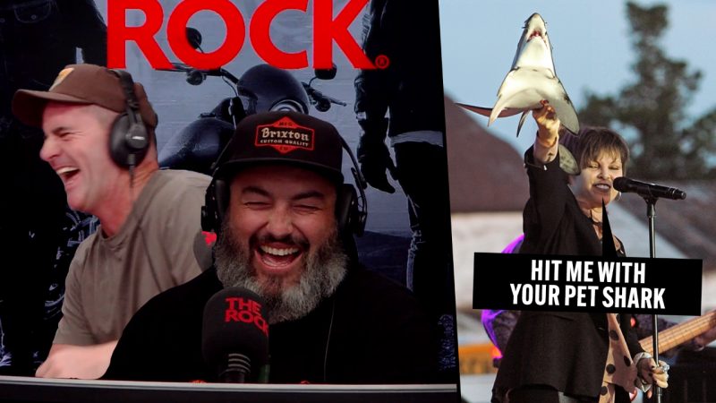 'Hit me with your pet shark': These misheard song lyrics are too good