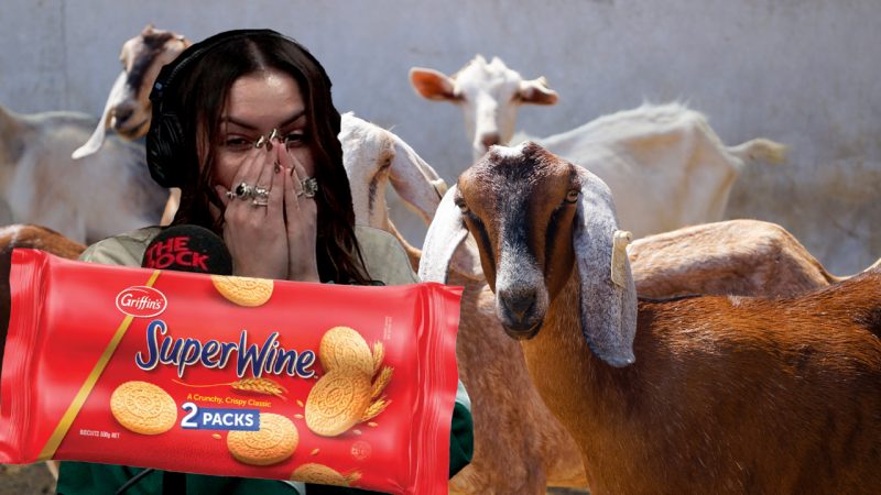 Listener Mark's mate was circumcised by a biscuit and a goat