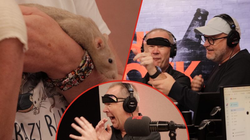 Rog loses it and drops an f bomb live on air after we surprise him with two rats